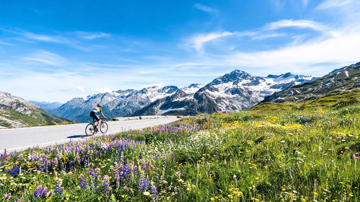 Col du Lautaret : 2 000 ans de botanique alpine et 80 ans de passage au Tour de France